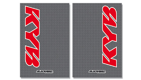 fork stickers Kayaba, carbon