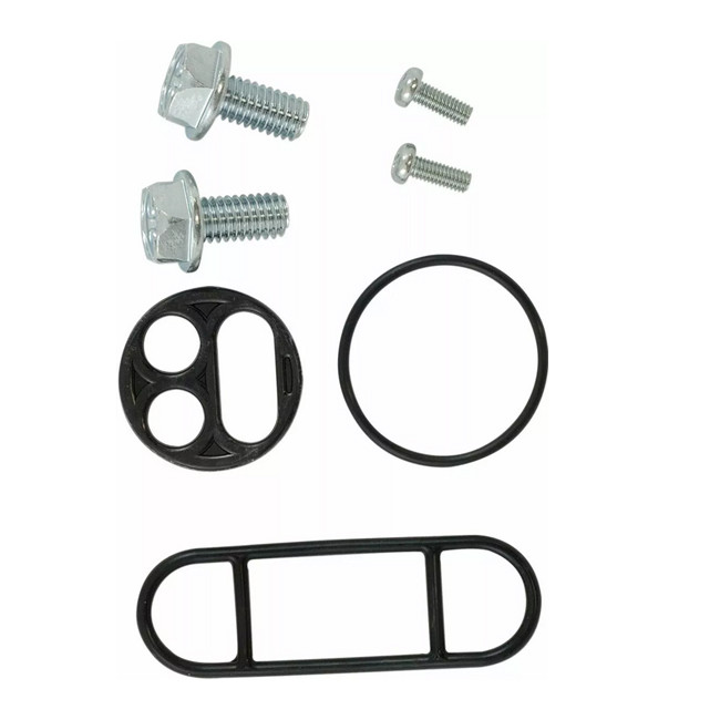 Petcock rebuild kit, DR 350