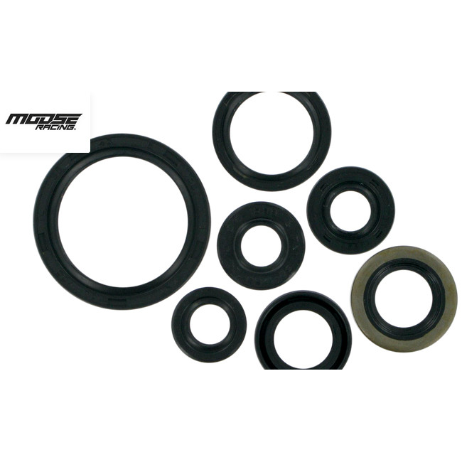 oil seal kit, DRZ400