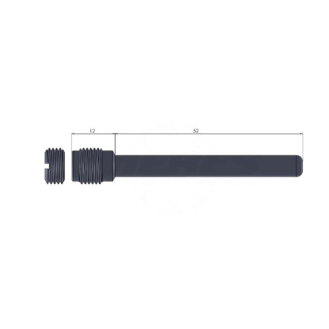 Bremsbelagsbolzen hinten, DR 650 SE 96-