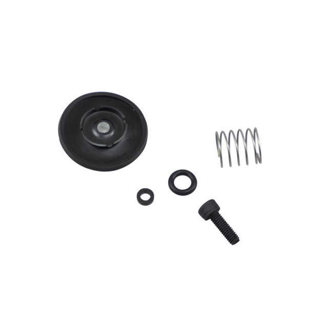 accelorator pump repair kit, DRZ400